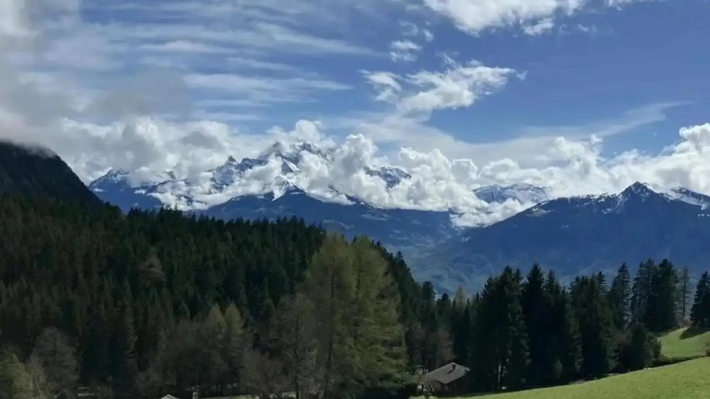 Chalet for sale - 1860 Aigle - Photo 4