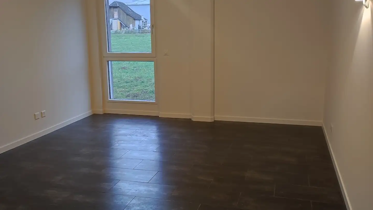 Commerciale in affitto - 6221 Rickenbach LU - Foto 2