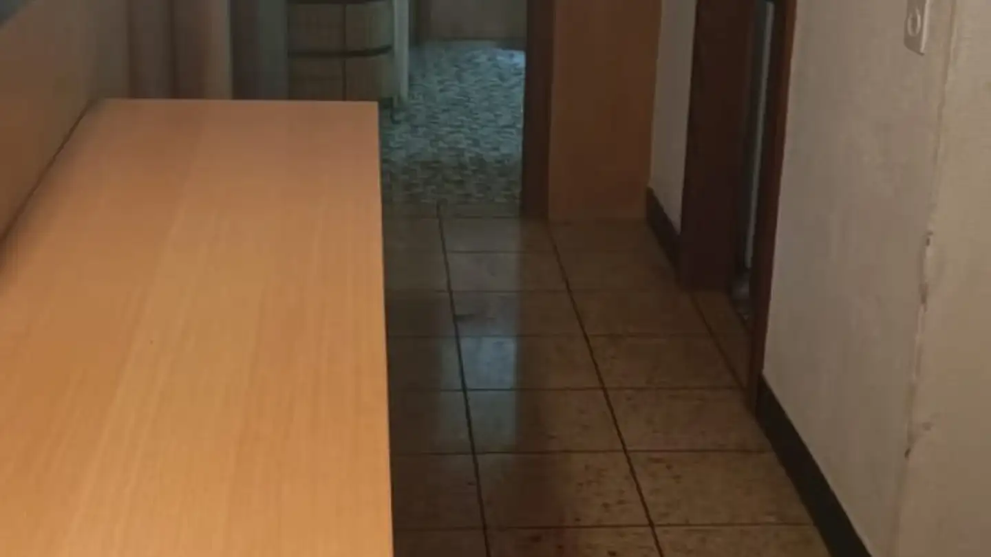 Single room for rent - 5200 Brugg AG - Photo 2