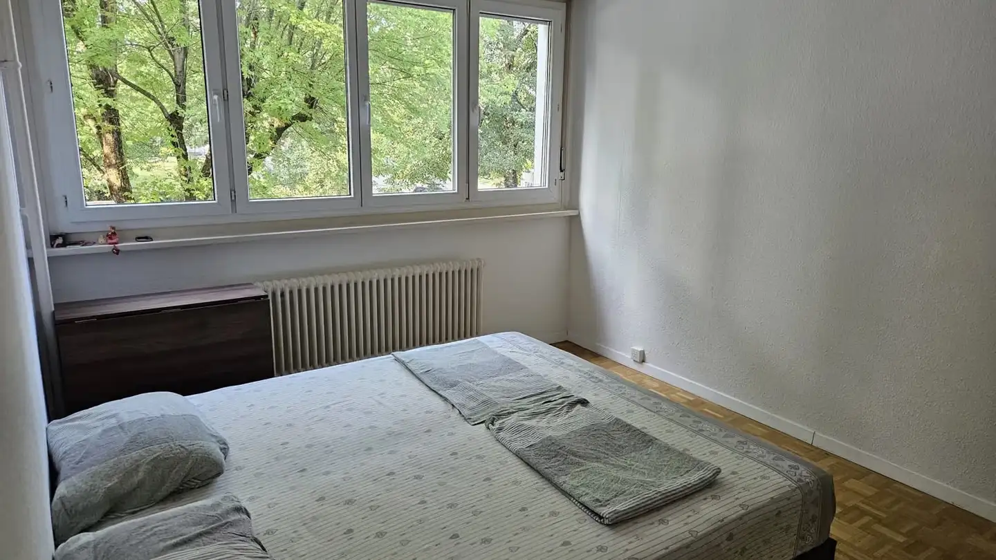 Appartamento in affitto - Chemin Des Semailles 11a, 1212 Grand-Lancy - Foto 4