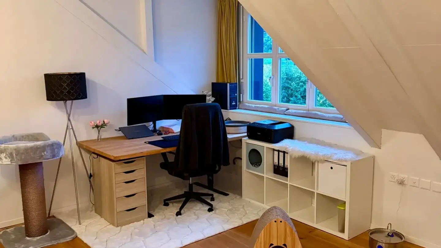 Duplex à louer - Dinkelhof 10, 5706 Boniswil - Photo 3