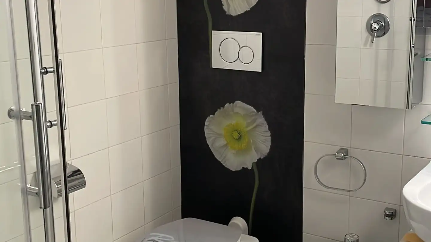 Appartamento in affitto - Isole Di Brissago, 6614 Isole di Brissago - Photo 3