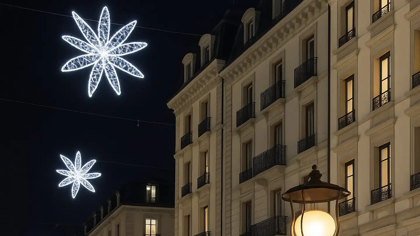 Stanza singola in affitto - Rue de Lausanne, 1201 Genève - Photo 3