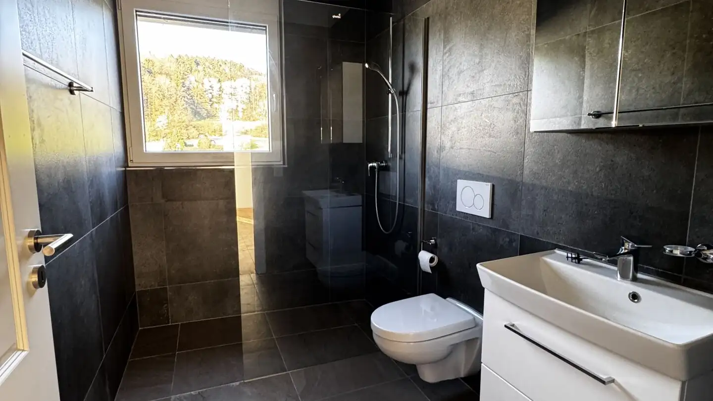 Apartment for rent - Rotkornstrasse, 5727 Oberkulm - Photo 4