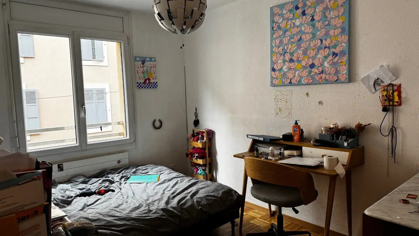 Appartement à louer - Rue Des Pavillons, 1205 Genève - Photo 3