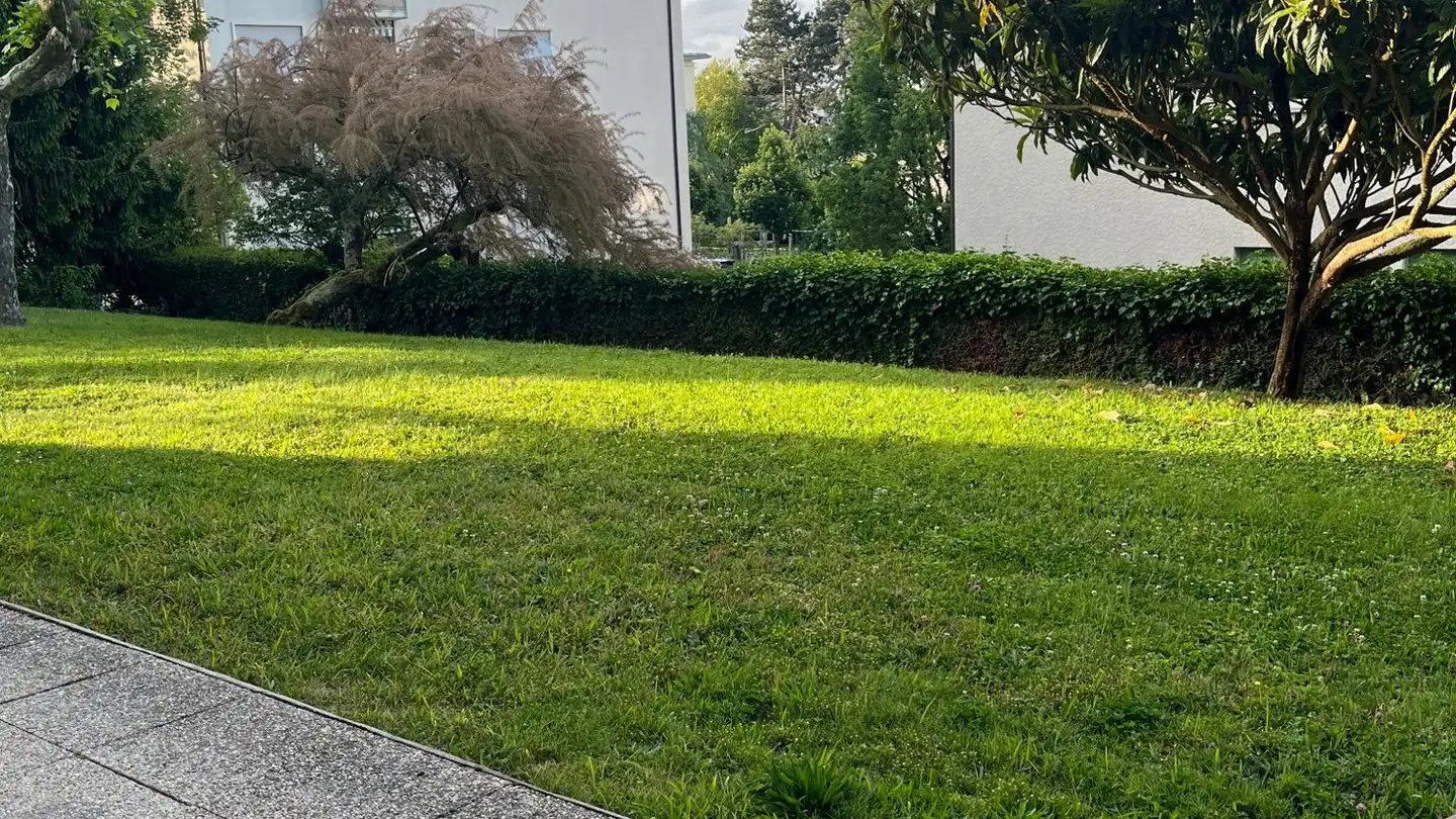 Appartamento in affitto - Avenue De Lavaux 70a, 1009 Pully