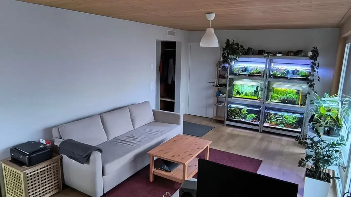 Appartamento in affitto - Albisstrasse 85, 8134 Adliswil