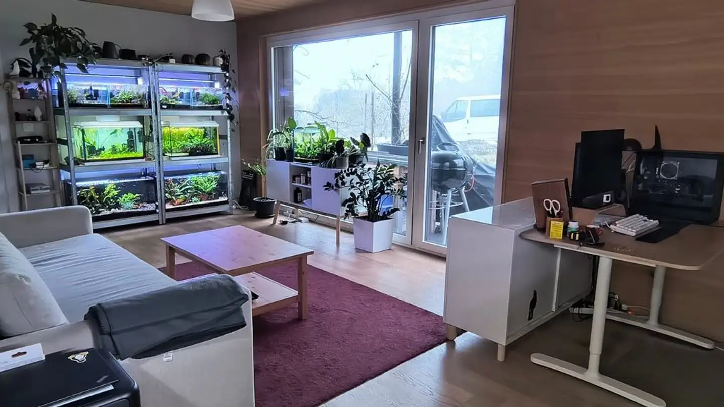 Apartment for rent - Albisstrasse 85, 8134 Adliswil - Photo 2