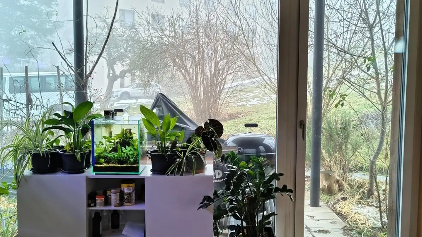 Apartment for rent - Albisstrasse 85, 8134 Adliswil - Photo 3