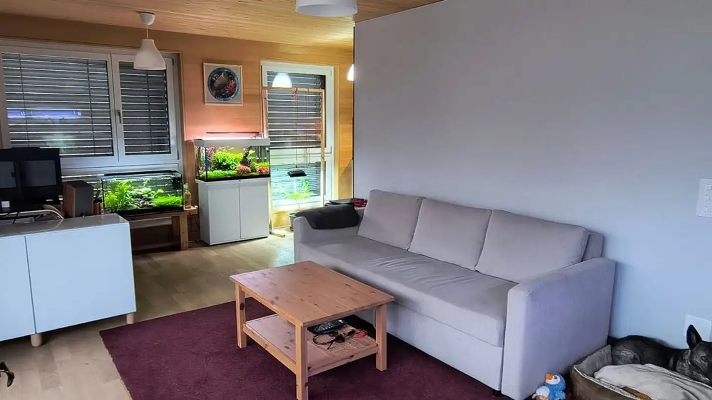 Apartment for rent - Albisstrasse 85, 8134 Adliswil - Photo 4