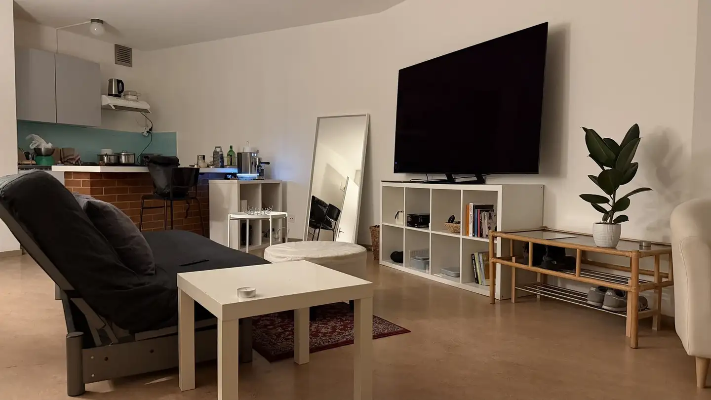 Appartamento in affitto - 4056 Basel
