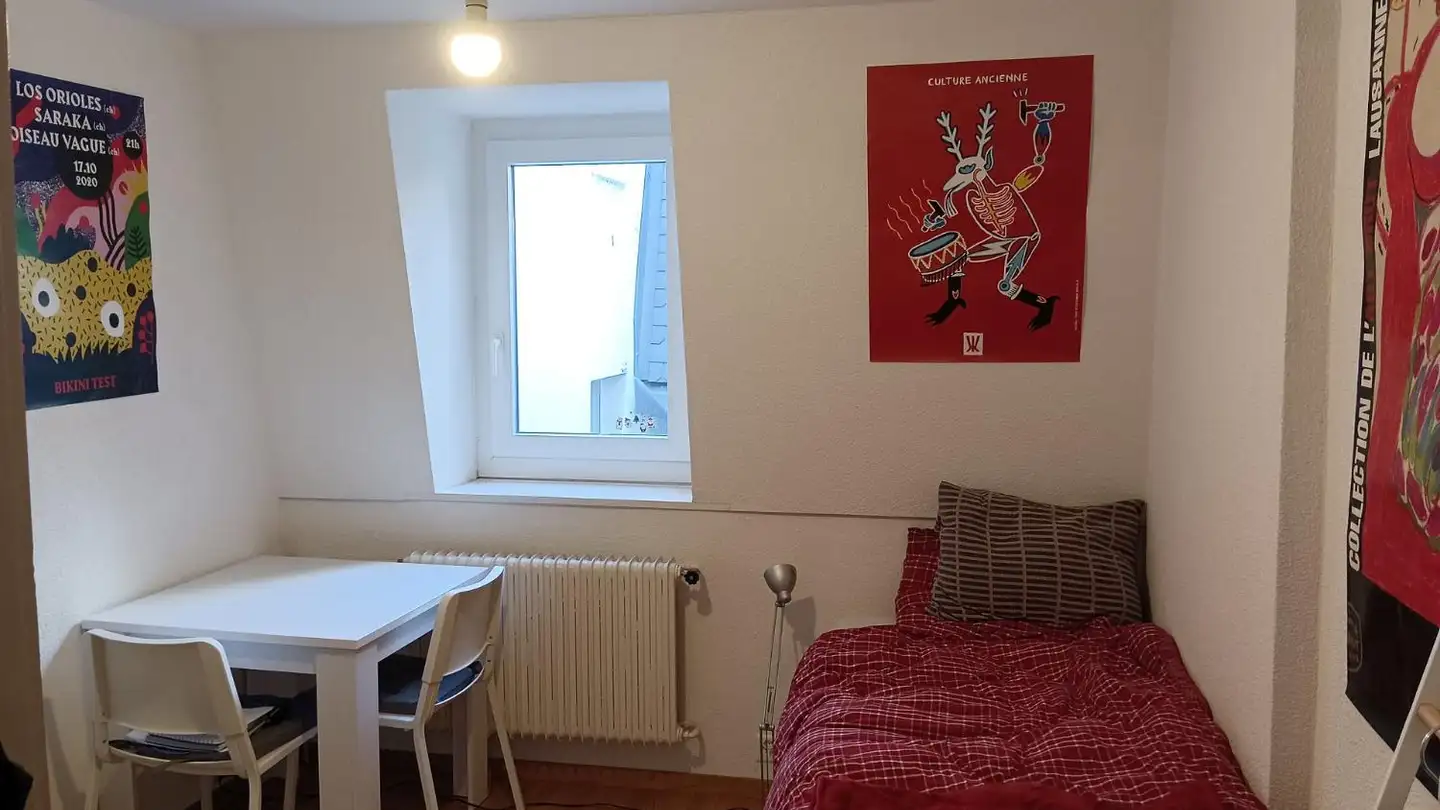 Wohnung mieten - Rue Du Père-Girard 8, 1700 Fribourg