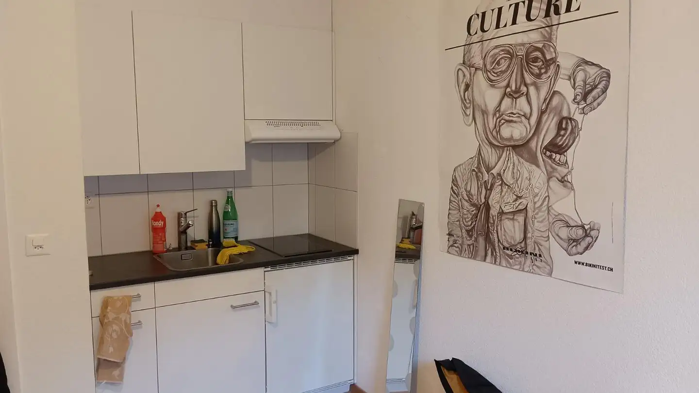 Wohnung mieten - Rue Du Père-Girard 8, 1700 Fribourg - Foto 3