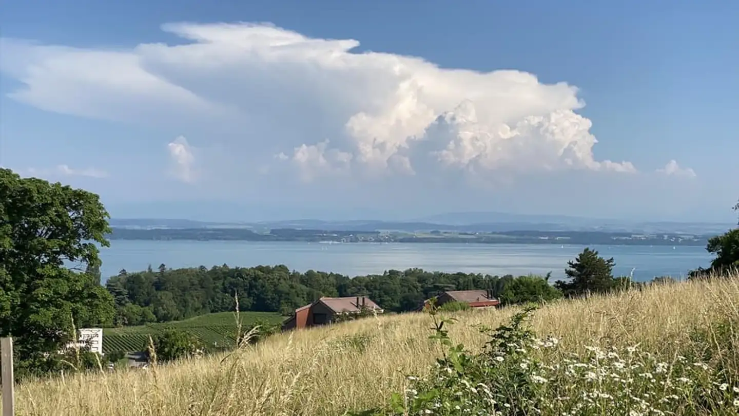 Constructible plot for sale - 2016 Cortaillod