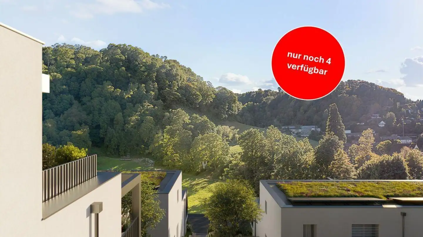 Maison individuelle à vendre - Hofstetterstrasse, 4112 Flüh
