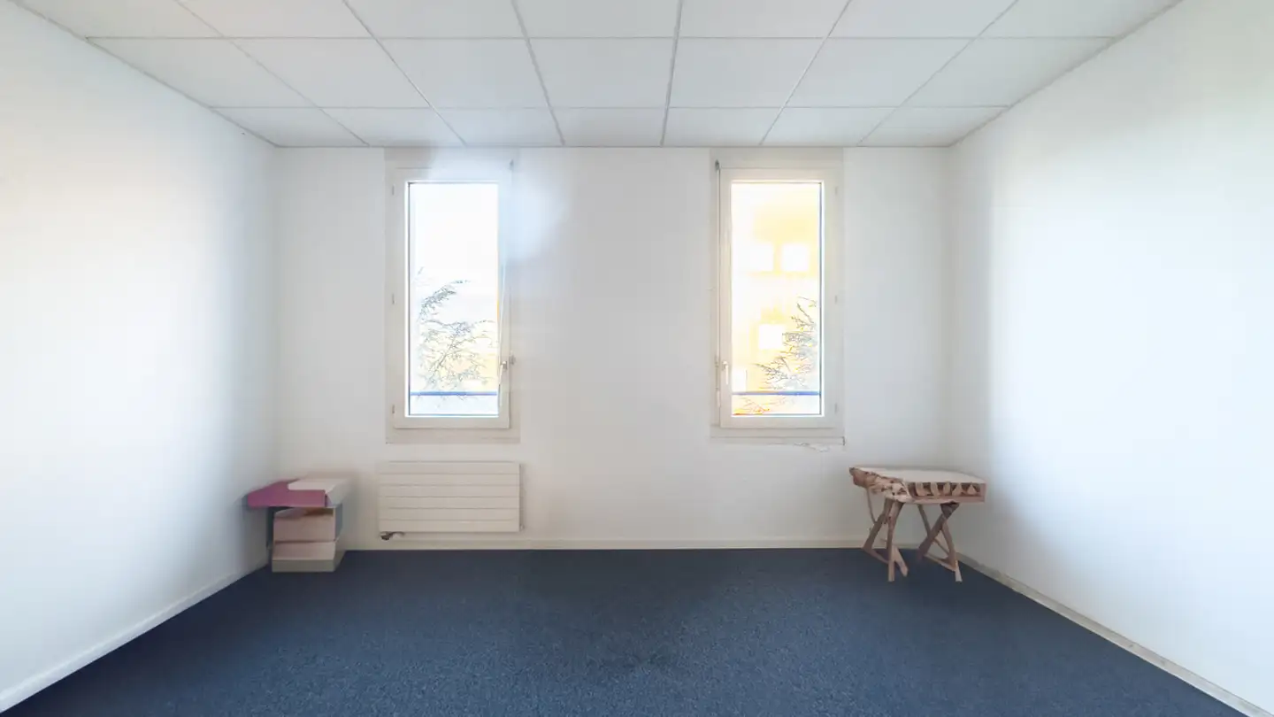 Spazio ufficio in affitto - Chemin Grenet, 1214 Vernier - Photo 3