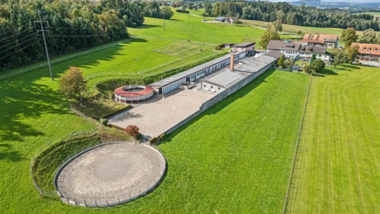 Pferdebox kaufen - 9542 Münchwilen TG