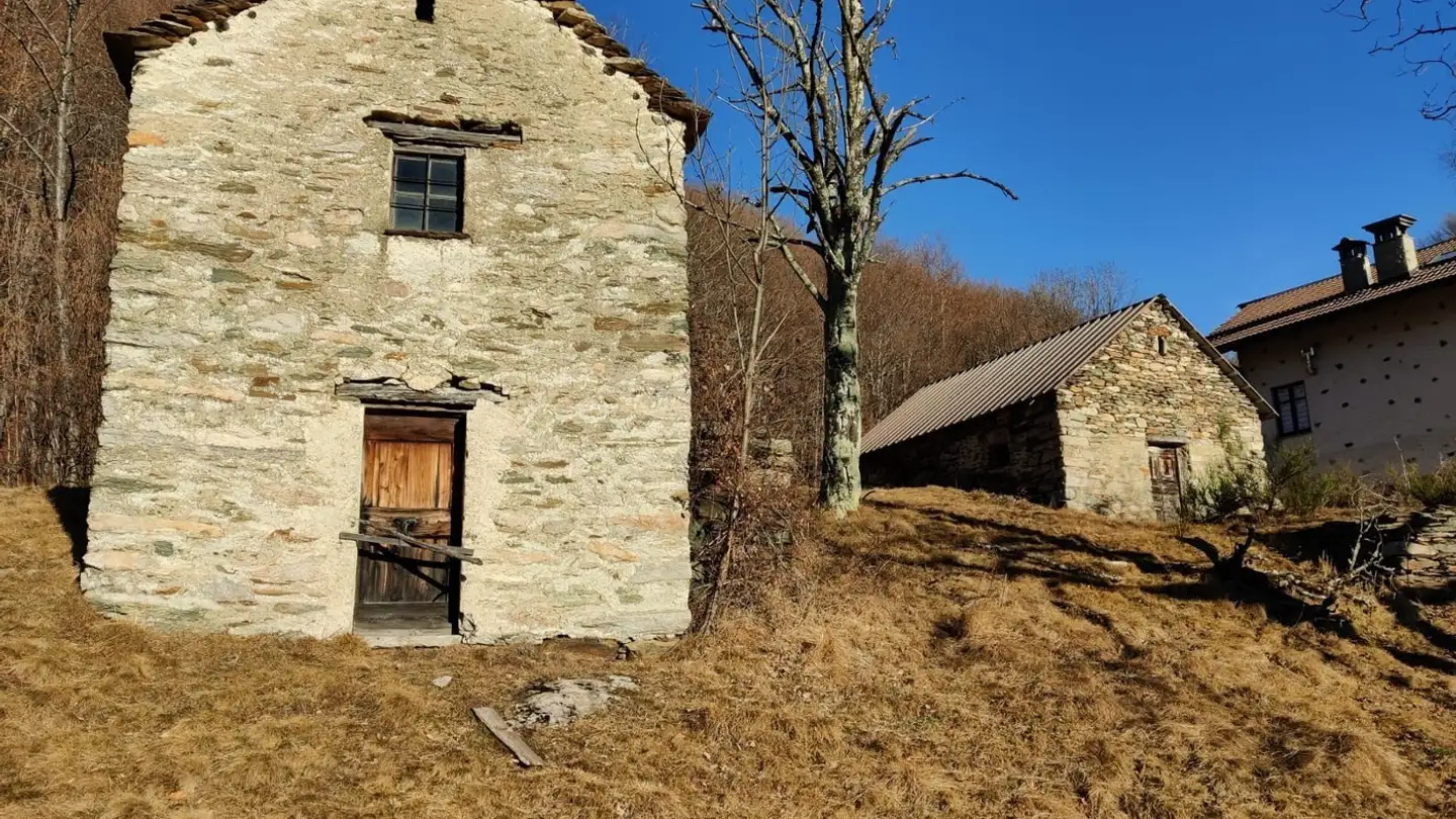 Maison individuelle à vendre - 6658 Borgnone