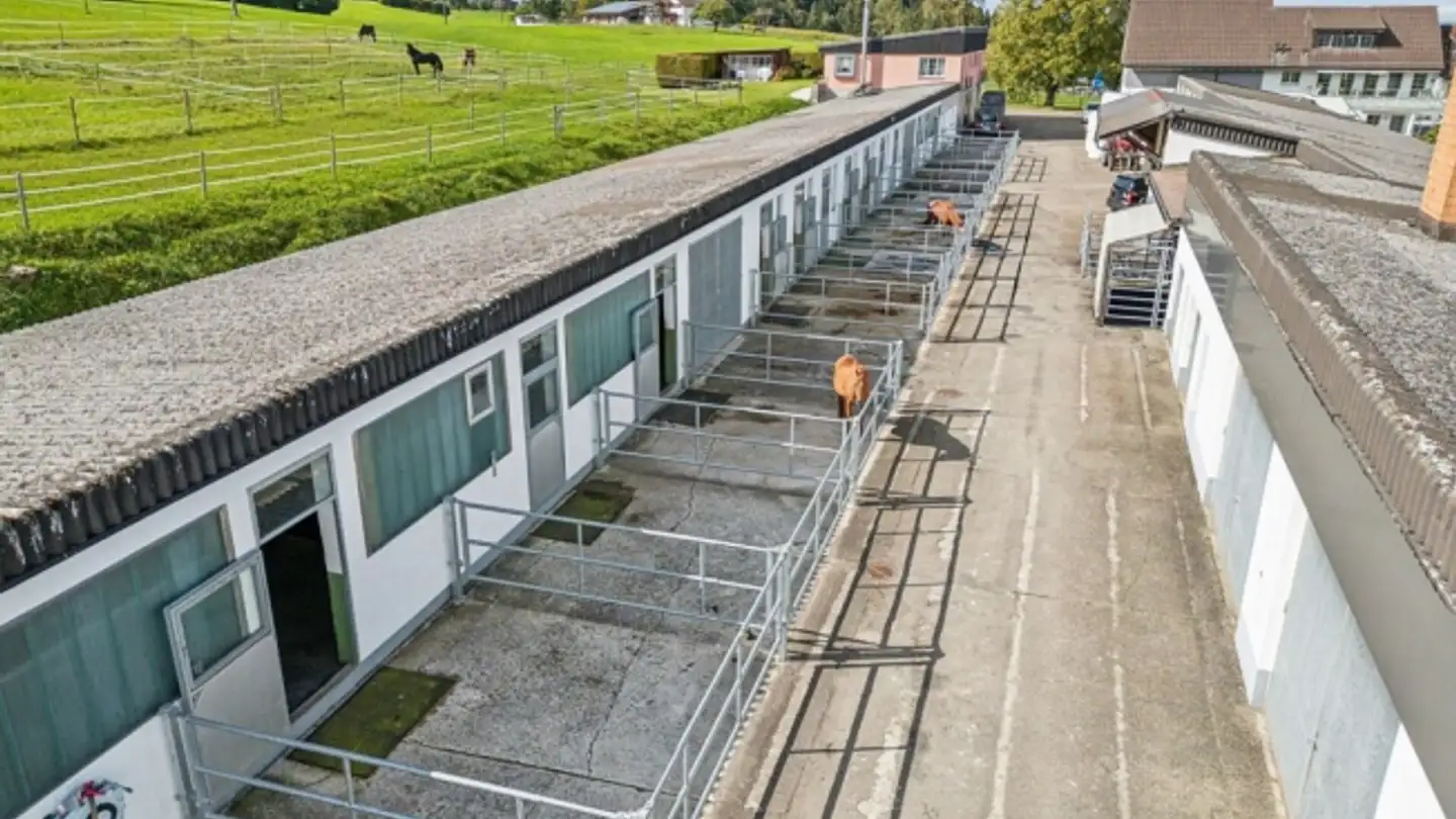 Pferdebox kaufen - 9542 Münchwilen TG - Foto 3