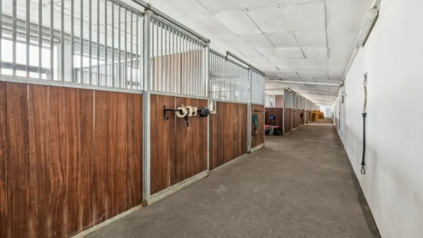 Pferdebox kaufen - 9542 Münchwilen TG - Foto 4