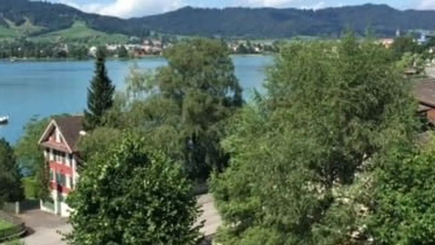 Penthouse for rent - Mitteldorfstrasse 39b, 6315 Oberägeri - Photo 3