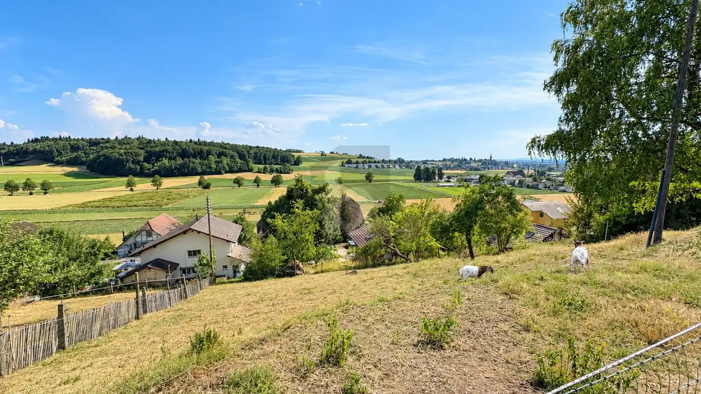 Constructible plot for sale - 3423 Ersigen - Photo 2