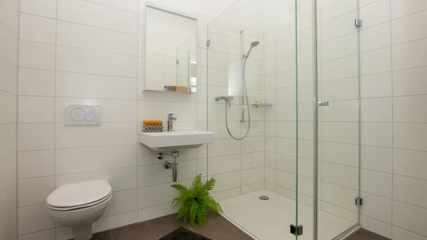 Wohnung mieten - Gewerbepark Bata 1, 4313 Möhlin - Foto 4