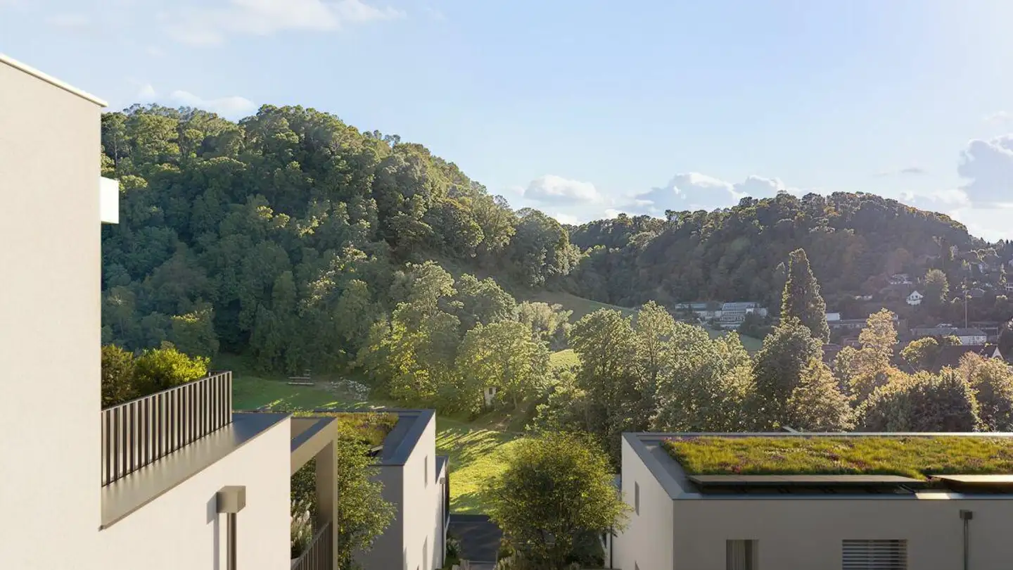 Einfamilienhaus kaufen - Hofstetterstrasse, 4112 Flüh - Foto 4
