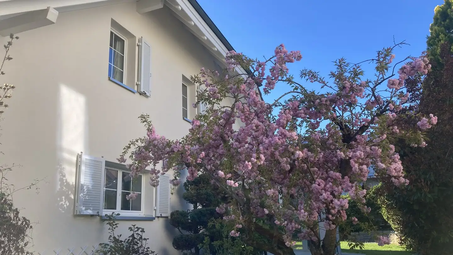Maison individuelle à louer - Muggenbergweg 44, 4148 Pfeffingen - Photo 4