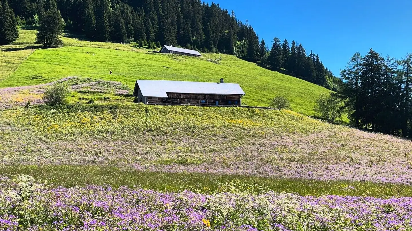 Einfamilienhaus mieten - Chemin De Prafandaz 4, 1854 Leysin - Foto 3