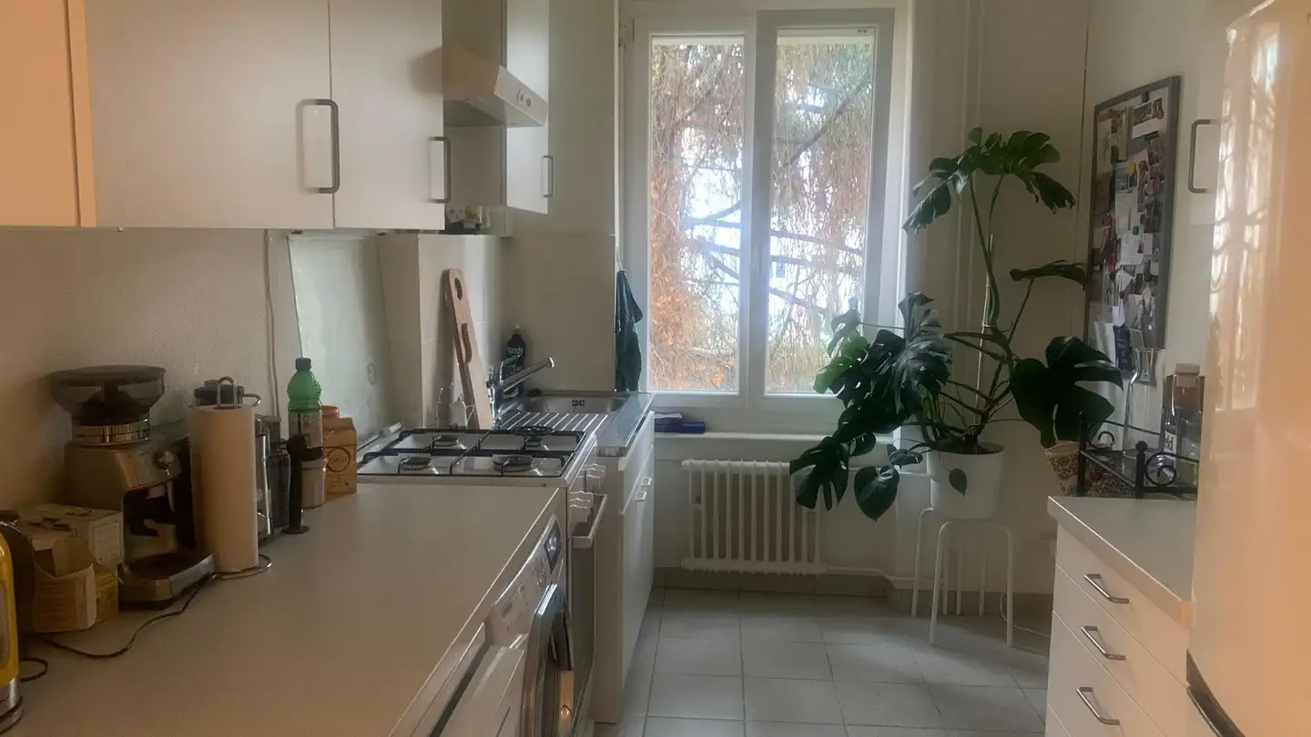 Wohnung mieten - 8037 Zürich - Foto 3