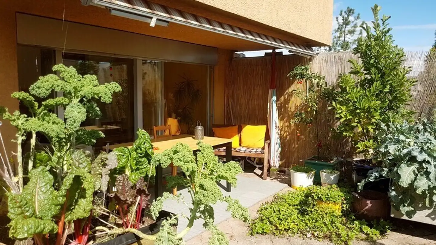 Apartment for rent - 8047 Zürich