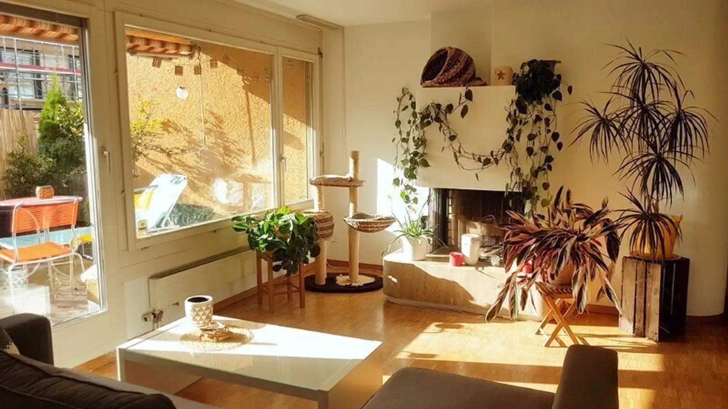 Apartment for rent - 8047 Zürich - Photo 2