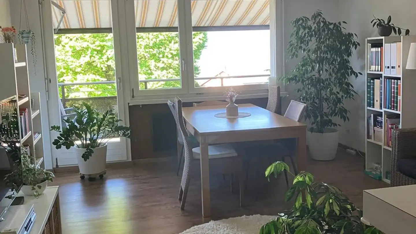 Appartement à louer - Rietwiesstrasse 47, 8737 Gommiswald - Photo 4
