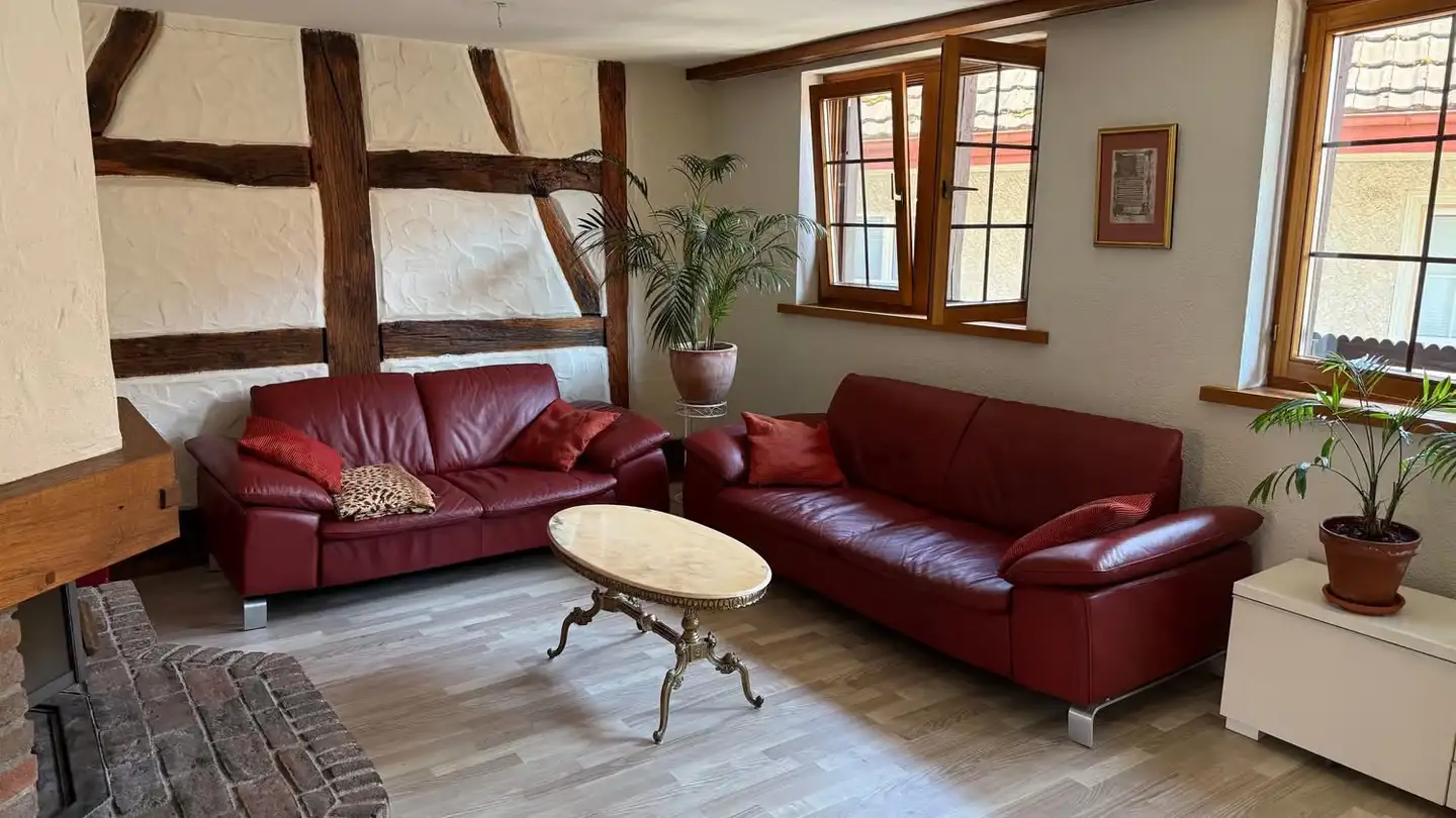 Duplex for rent - Bolstrasse 8, 8447 Dachsen - Photo 3