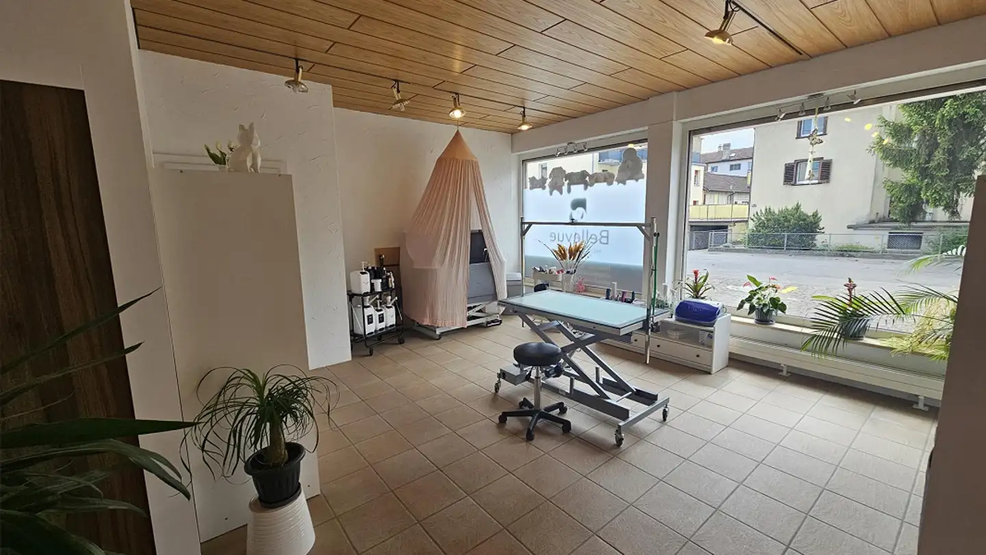 Spazio ufficio in affitto - Bellevuestrasse 14, 6280 Hochdorf - Foto 4