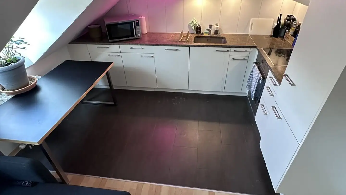 Chambre à louer - Badenerstrasse 356, 8004 Zürich - Photo 3