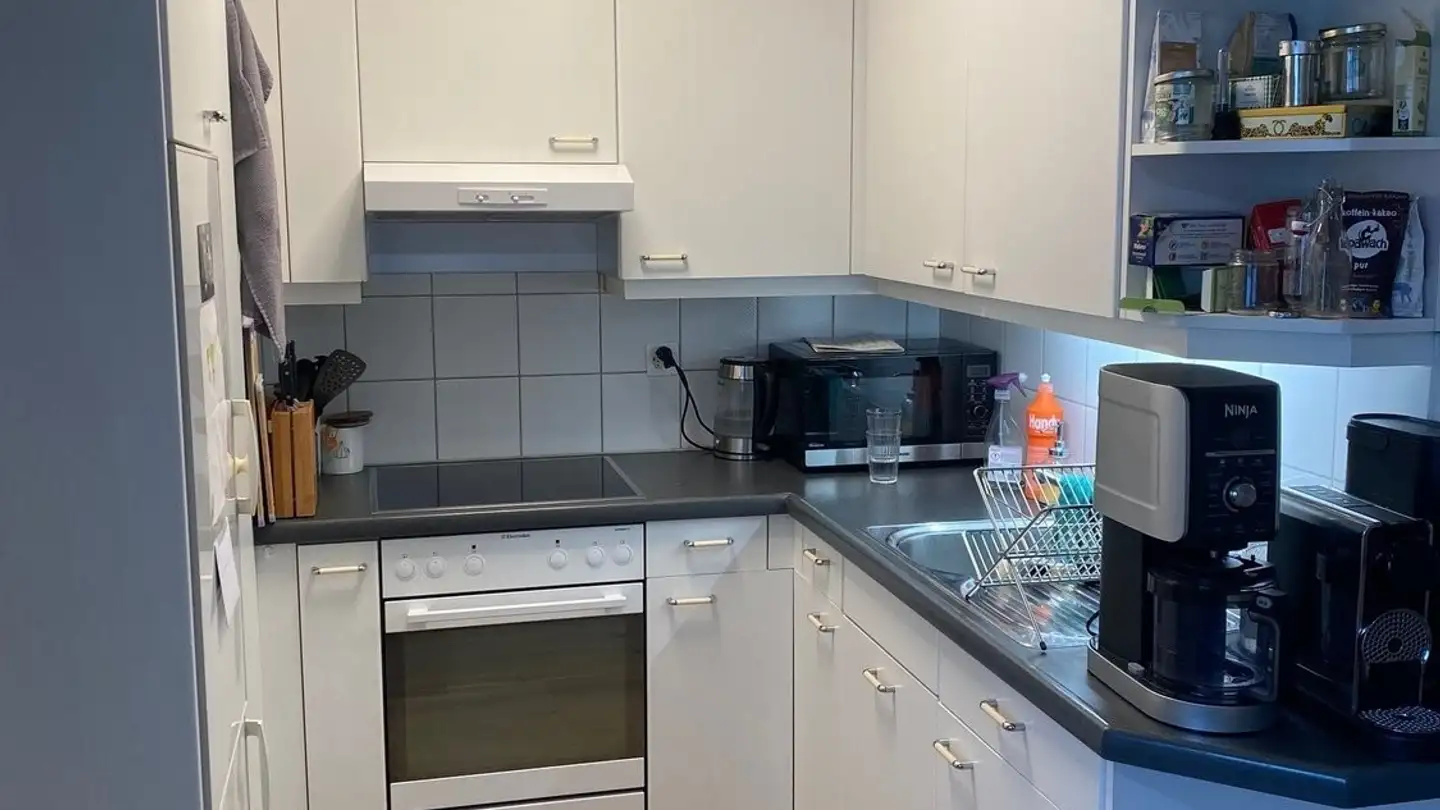 Apartment for rent - In Huebwiesen 6, 8600 Dübendorf - Photo 4