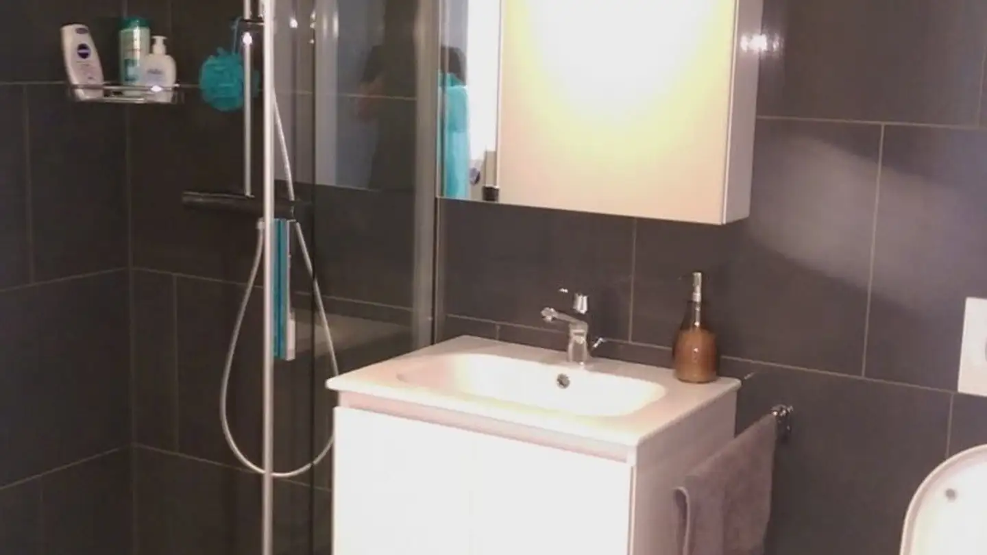 Apartment for rent - Rue De La Grand-Vigne 6, 1896 Vouvry - Photo 4