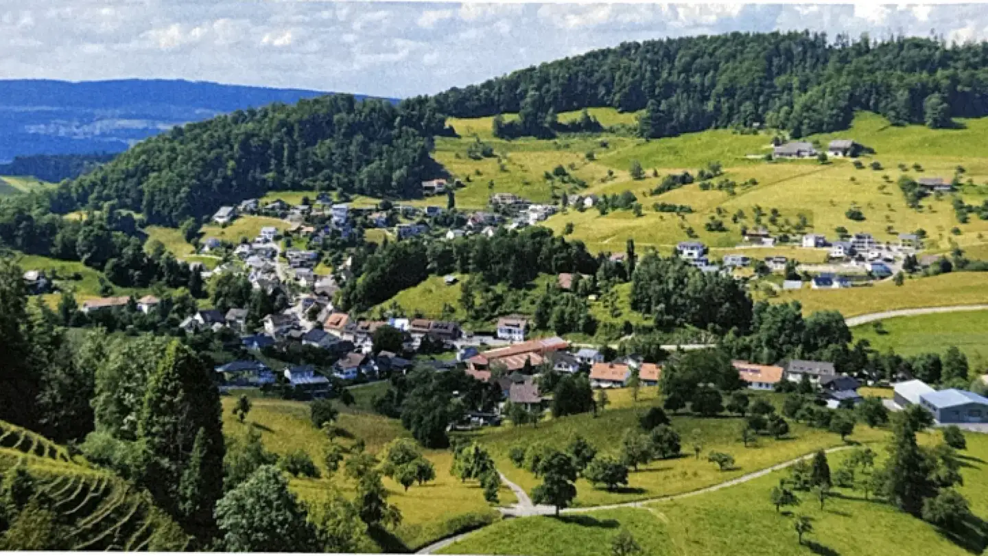 Single house for sale - Kappenmattstrasse, 4234 Zullwil - Photo 4