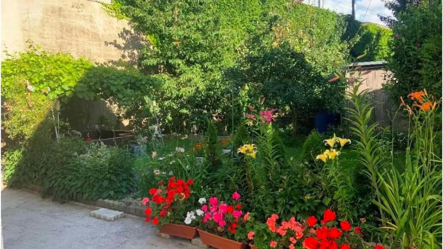 Single room for rent - Aarburgerstrasse 173, 4600 Olten - Photo 3