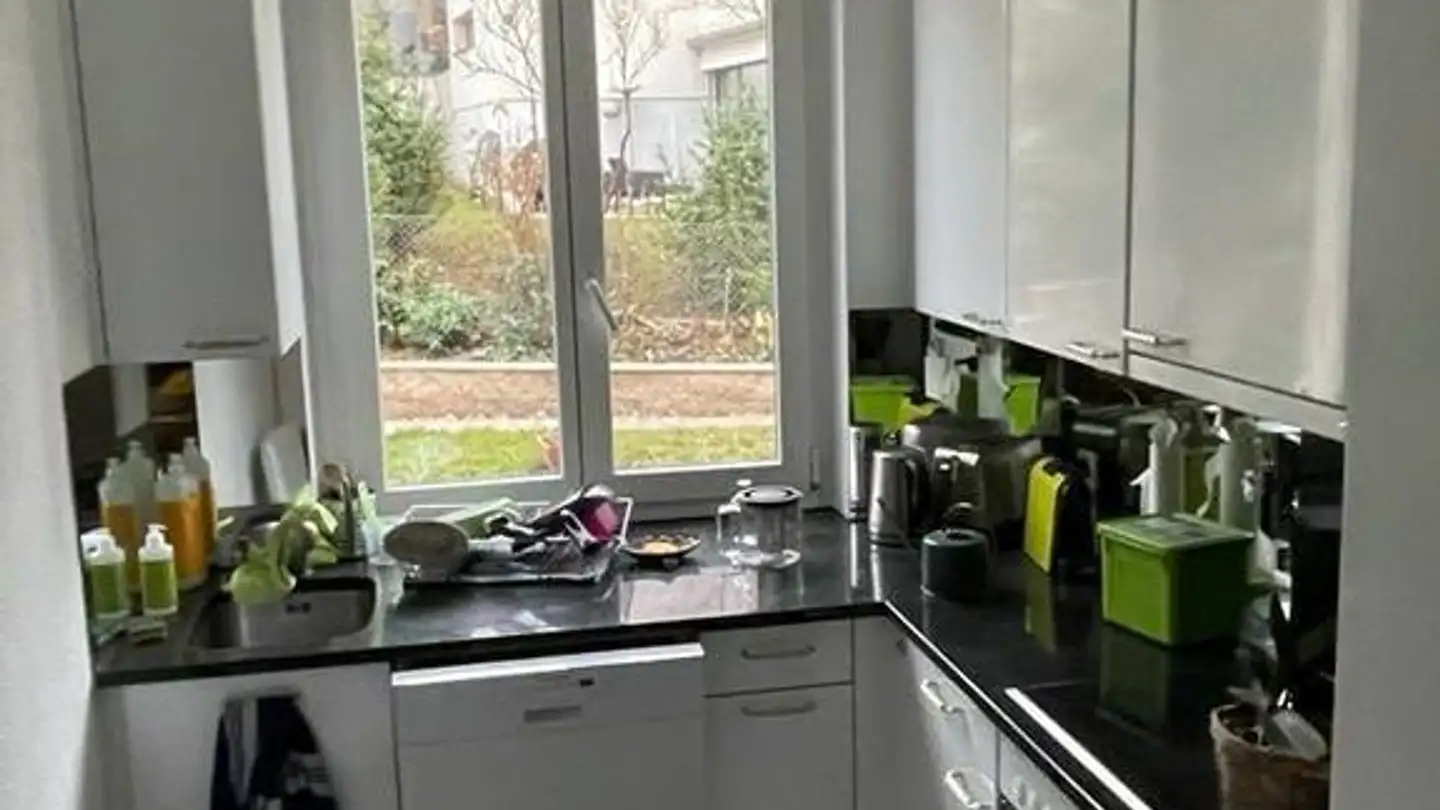 Appartamento in affitto - Imbisbühlstrasse 118, 8049 Zürich - Foto 3