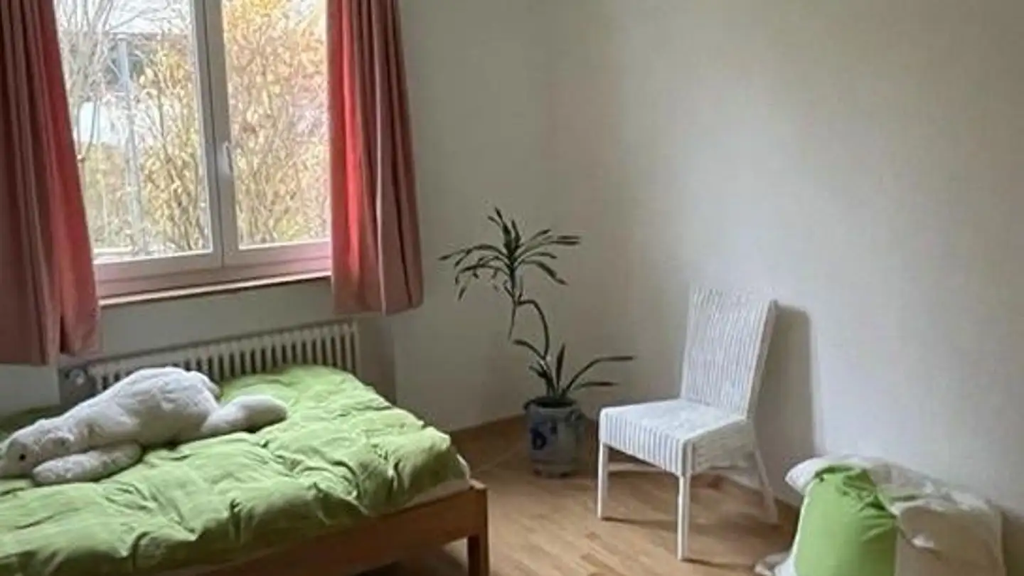 Appartamento in affitto - Imbisbühlstrasse 118, 8049 Zürich - Foto 4