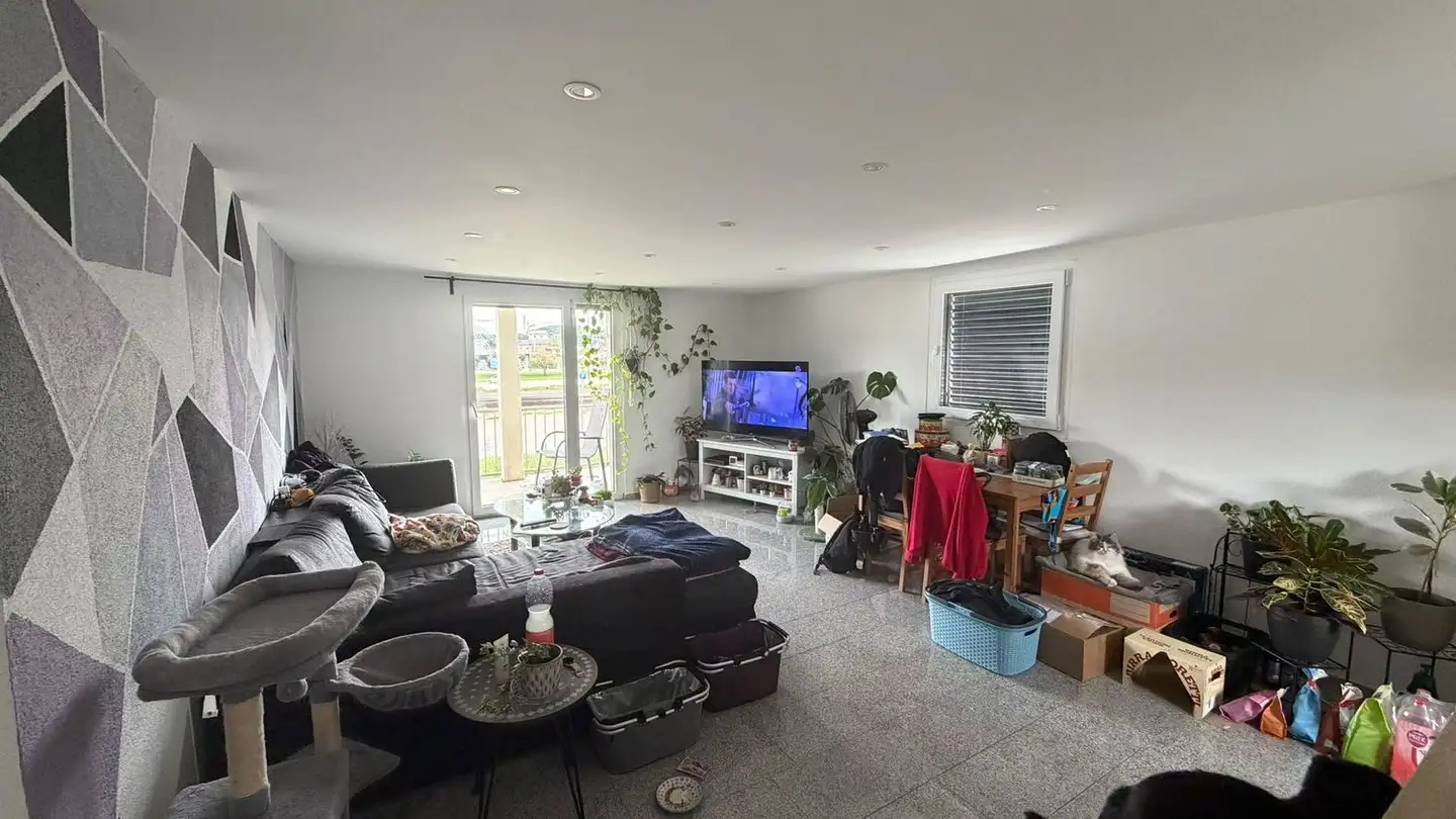 Appartamento in affitto - Mühlemattstrasse 12, 4622 Egerkingen - Foto 2