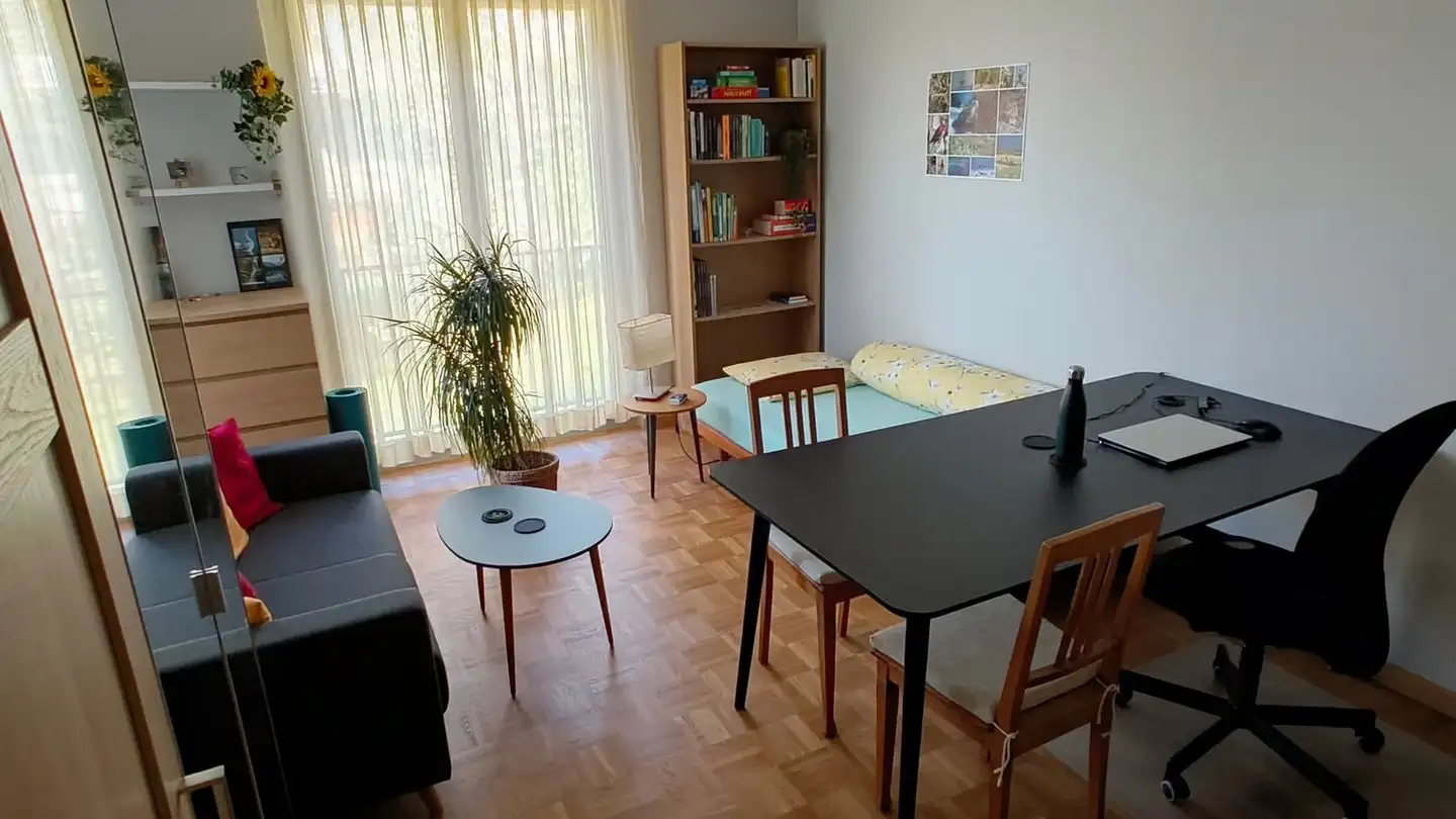 Wohnung mieten - Bahnhaldenstrasse 29, 8052 Zürich - Foto 4