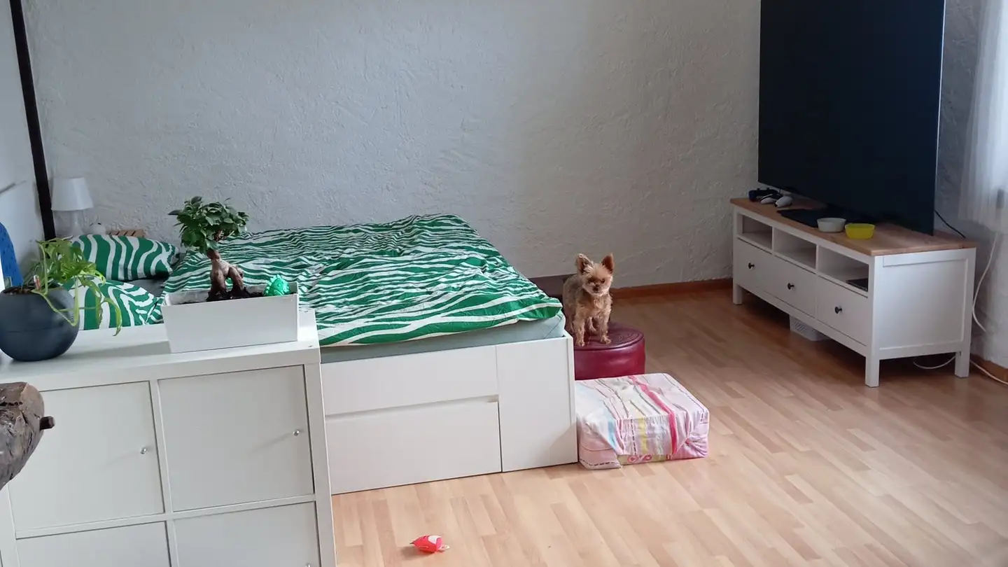 Appartamento in affitto - Hübelweg 12, 4222 Zwingen - Foto 3