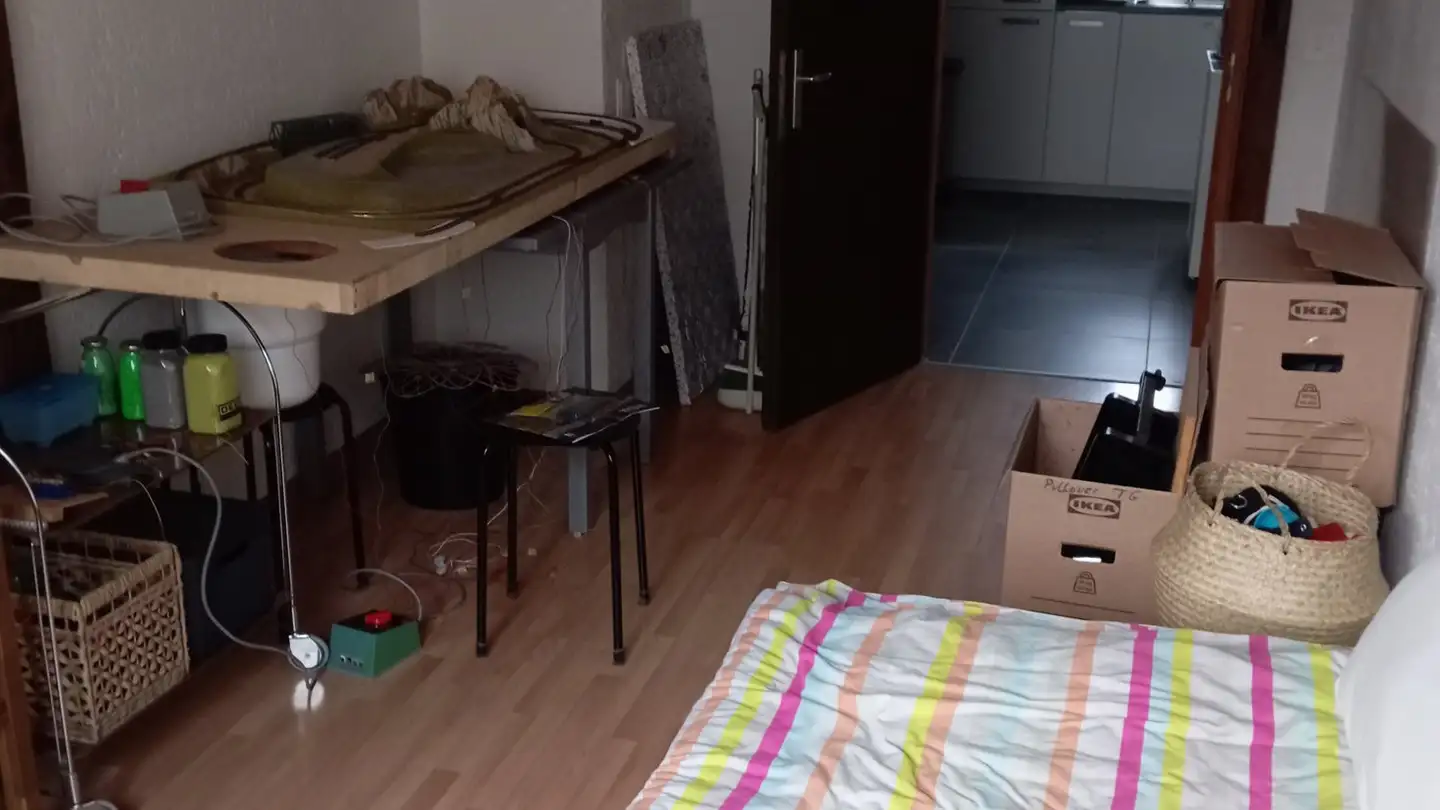 Appartamento in affitto - Hübelweg 12, 4222 Zwingen - Foto 4