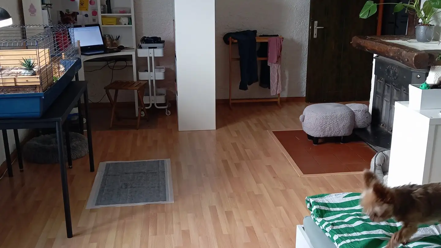 Appartamento in affitto - Hübelweg 12, 4222 Zwingen - Foto 2