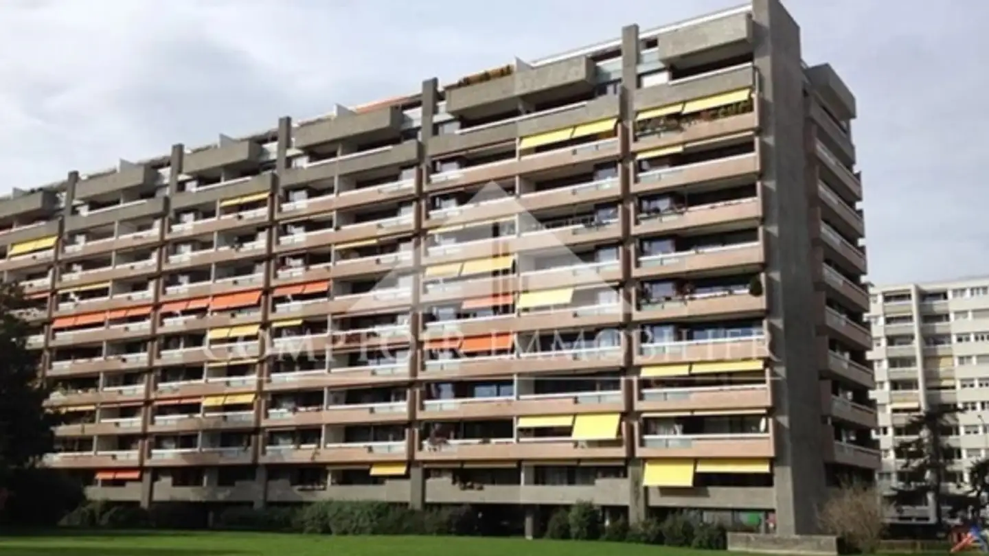 Magasin à louer - Chemin du Champ-d'Anier 5, 1209 Genève - Photo 2