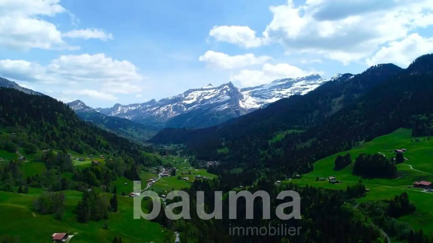 Single house for sale - Les Diablerets, 1865 Les Diablerets
